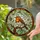 Orange Robin Bird Stained Glass Blossom - Wildlife Lover Home Decor Gift Stained Glass Suncatcher - 2