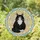 Fluffy Tuxedo Cat Golden Eyes Warm Yellow Green Blue - Home Decor Gift for Cat Lovers Stained Glass Suncatcher - 1