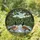 Canada Geese White Duck Lake Shore Forest Reflections - Waterfowl Lover Home Decor Gift Stained Glass Suncatcher - 1