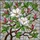 Blooming Magnolia Pink Bud Green Leaf Branch - Home Decor Gift for Housewarming Stained Glass Suncatcher - 5