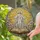 Jesus Christ Celestial Ascension Divine Light - Faith Home Decor Gift Stained Glass Suncatcher - 2
