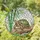 Tortoise Patterned Shell Bamboo Stained Glass Wildlife Lover Home Decor Gift Stained Glass Suncatcher - 1
