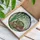 Tortoise Patterned Shell Bamboo Stained Glass Wildlife Lover Home Decor Gift Stained Glass Suncatcher - 3