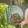 Tortoise Patterned Shell Bamboo Stained Glass Wildlife Lover Home Decor Gift Stained Glass Suncatcher - 2