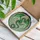 Luminous Translucent Emerald Green Stained Glass Dragon - Home Decor Gift for Dragon Lover Stained Glass Suncatcher - 3