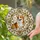 Corgi Stained Glass Ornate Scrollwork Diamond Mosaic - Home Decor Gift for Dog Lovers Stained Glass Suncatcher - 2