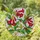 Hummingbird Red Flowers Botanical - Wildlife Home Decor Gift Stained Glass Suncatcher - 1