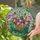 Hanging Basket Morning Glory Flowers Lush Foliage - Home Decor Gift for Flower Lover Stained Glass Suncatcher - 2
