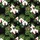 duiyfppz/products/6a0abec9b52ea92bceeea54c/gallery/uZrbXwG1dr