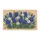 duiyfppz/products/6a0abfc8b52ea98ebeeea906/gallery/VIzdIQqtOJ