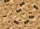 duiyfppz/products/6a0accf58b838f8bdc81063b/gallery/I3Q6pzDJog