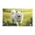duiyfppz/products/6a0ad3778f37083668dfb356/gallery/G-Gg0pCJy0