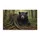 duiyfppz/products/6a0ad6678f3708cebfdfc766/gallery/cGNuldRiu7