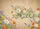 duiyfppz/products/6a0adaa3a6e51fa441bfd561/gallery/AhjCSNyr5-