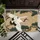 duiyfppz/products/6a0add1e8f37084d9fdffb34/gallery/GHoJWdpQSb