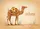 duiyfppz/products/6a0aed86a6e51f7db8c01b56/gallery/eyTokLttST