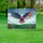 duiyfppz/products/6a0af04bb52ea9f2faef43c3/gallery/X7jYMYhBUS