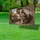 duiyfppz/products/6a0b40232dca410aaa05877a/gallery/2ZJu82NEY-