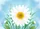 duiyfppz/products/6a0b45ffe699f3b609471713/gallery/bLFflOg7mw