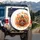 Pilgrim Turkey Give Thanks Autumn Foliage Berries - Thanksgiving Celebration Spare Tire Cover - 3