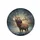 Bull Elk Bugling Frosty Forest - Wildlife Lover Outdoor Enthusiast Gift Spare Tire Cover - 4