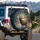 Bull Elk Bugling Frosty Forest - Wildlife Lover Outdoor Enthusiast Gift Spare Tire Cover - 3
