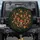 Deep Green Forest Red Mushroom Wildflower Moss Berries - Nature Lover Gardener Gift Spare Tire Cover - 1
