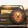 Molten Gold Skull Glowing Glyphs - Driver Vehicle Accessory Spare Tire Cover - 2