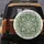 Botanical Mandala Concentric Leaves Foliage - Outdoor Lifestyle Gift for Nature Lover Spare Tire Cover - 5