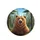 Expressive Brown Bear Shaggy Fur Forest Wilderness - Outdoor Adventure Travel Gift Spare Tire Cover - 4