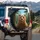 Expressive Brown Bear Shaggy Fur Forest Wilderness - Outdoor Adventure Travel Gift Spare Tire Cover - 3