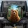 Expressive Brown Bear Shaggy Fur Forest Wilderness - Outdoor Adventure Travel Gift Spare Tire Cover - 1