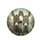Friendly Brown Grey Donkey Portrait Muted Foliage - Farmhouse Decor Gift for Animal Lover Spare Tire Cover - 4