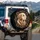 Realistic Golden Retriever Portrait Expressive Eyes USA Gold Filigree Stars - Dog Lover Gift Spare Tire Cover - 3