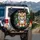 Smiling Fluffy Baby Tiger Cub Jungle Leaves - Wildlife Lover Gift Spare Tire Cover - 3