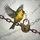 American Goldfinch Golden Key Antique Iron Chain Padlock - Wildlife Lover Gift Spare Tire Cover - 6