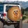 Golden Retriever Dog Aviator Sunglasses - Dog Lover Lifestyle Gift Spare Tire Cover - 3