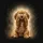 Golden Retriever Puppy Paws Over Eyes Black Background Foliage Decor - Dog Lover Gift Spare Tire Cover - 6