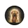 Golden Retriever Puppy Paws Over Eyes Black Background Foliage Decor - Dog Lover Gift Spare Tire Cover - 4
