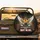 Blindfolded Yellow Rooster Vintage Car Mud Splashes TRUST GPS - Daring Off-Road Explorer Adventure Spare Tire Cover - 2
