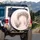 Fluted Columns Wedding Archway Pink Roses Petals Path Lush Foliage - Bridal Shower Gift Spare Tire Cover - 3