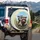 Two Raccoons with Sunglasses Outdoor Adventure Trip Wildlife Animal Lover Gift Spare Tire Cover - 3