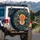 Lush Golden Orange Rose Cream Flower Foliage Berries - Nature Lover Home Decor Gift Spare Tire Cover - 3