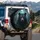 Black Bear Head Forest Foliage Moonlit Night - Wildlife Lover Gift Spare Tire Cover - 3