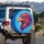 Fuchsia Purple Orange Eagle Head Ornate Swirl Paisley - Wildlife Lover Gift Spare Tire Cover - 3