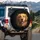 Friendly Smiling Golden Retriever Dog Portrait - Home Decor Dog Lover Gift for Pet Parents Spare Tire Cover - 3