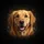 Friendly Smiling Golden Retriever Dog Portrait - Home Decor Dog Lover Gift for Pet Parents Spare Tire Cover - 6