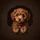 Reddish Brown Curly Fur Toy Poodle Puppy Dark Background - Home Decor Gift for Dog Lover Spare Tire Cover - 6