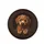 Reddish Brown Curly Fur Toy Poodle Puppy Dark Background - Home Decor Gift for Dog Lover Spare Tire Cover - 4