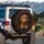 Reddish Brown Curly Fur Toy Poodle Puppy Dark Background - Home Decor Gift for Dog Lover Spare Tire Cover - 3